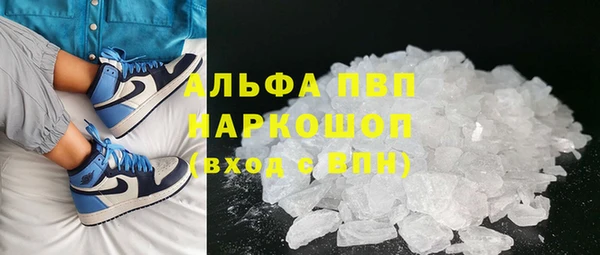 PSILOCYBIN Лихославль