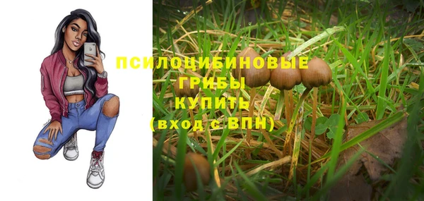 крисы Абаза