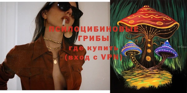крисы Абаза