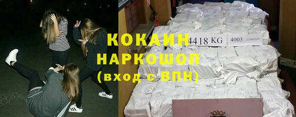 крисы Абаза